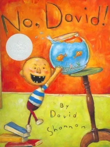 No, David! book cover
